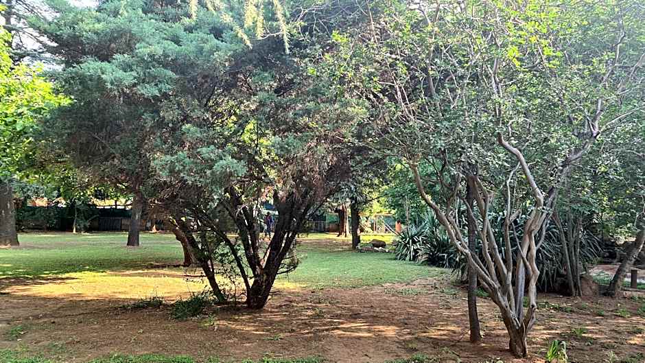 SILKEN TRAP GUEST HOUSE