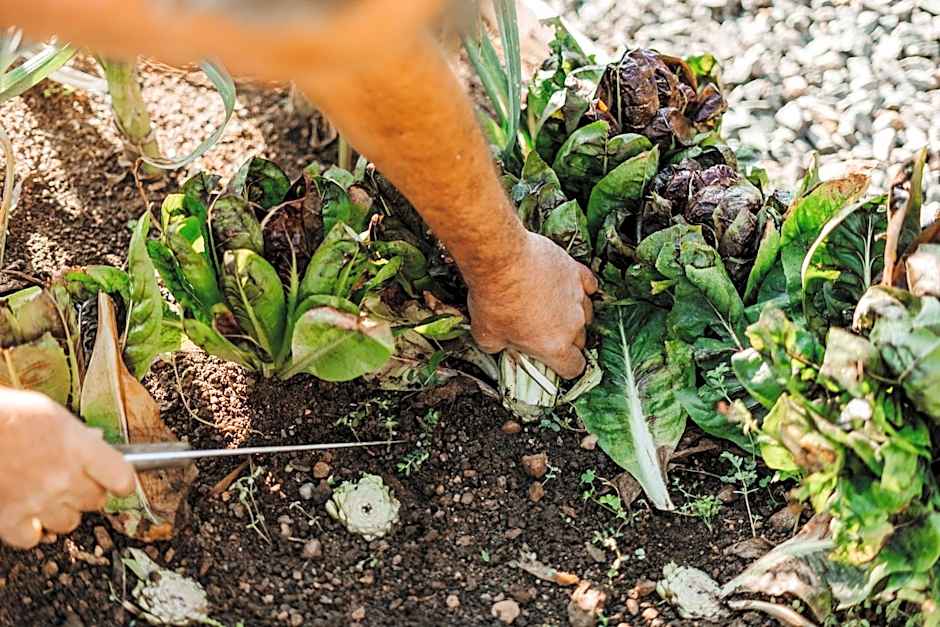 Hotel & Gasthof zum Hirschen