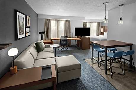 Studio, 1 King Bed with Sofa bed (Mobility/Hearing Accessible, Tub)