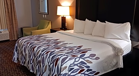 Suite King Room Disability Access/Roll-In Shower Non-Smoking