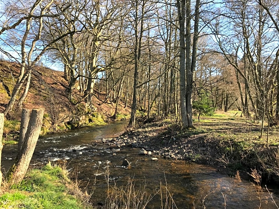 Grandeagles Extra large lodge