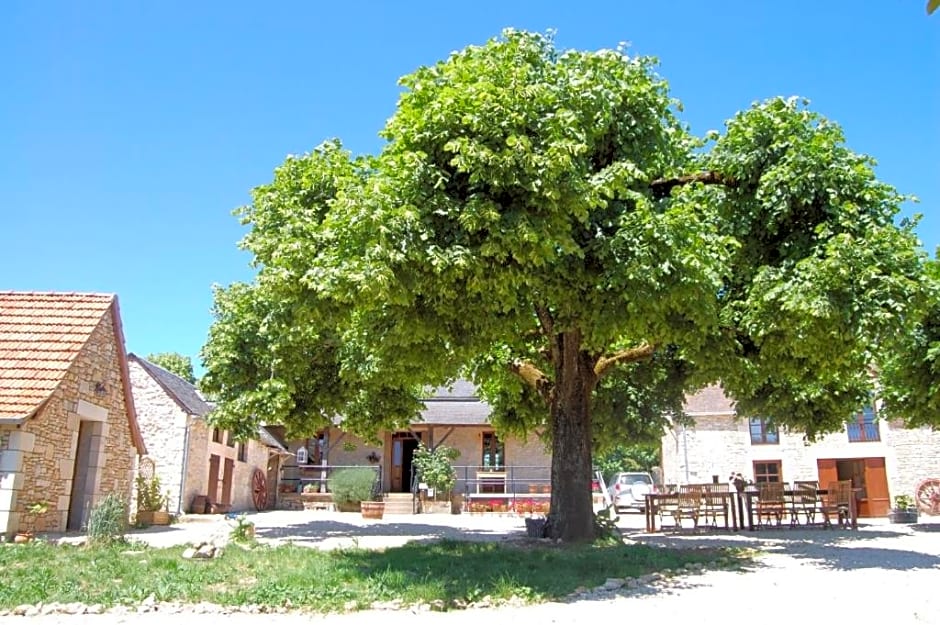 Chambres et table d'hôtes La Panacée