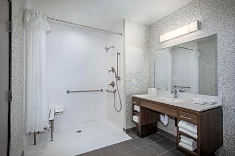 1King Mobilty/Hearing Access Ri Shwr Suite Ns