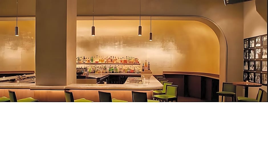 The Chicago Hotel Collection Ambassador Gold Coast