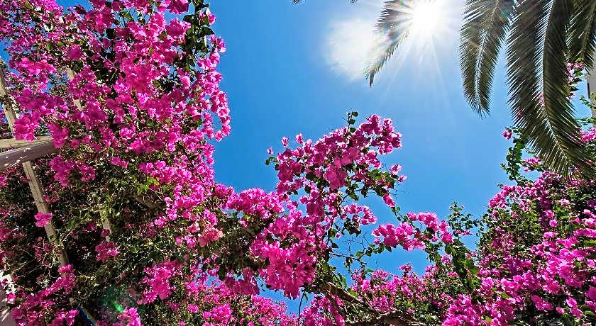 Atlantis Beach Villa