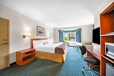 1 King Bed Non-Smoking Pet Friendly Room Microwave And Refrigerator Continental Breakfast