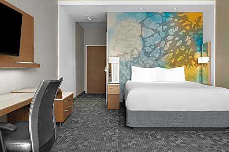 King Room with Sofa Bed and Roll-in Shower - Mobility and Hearing Accessible