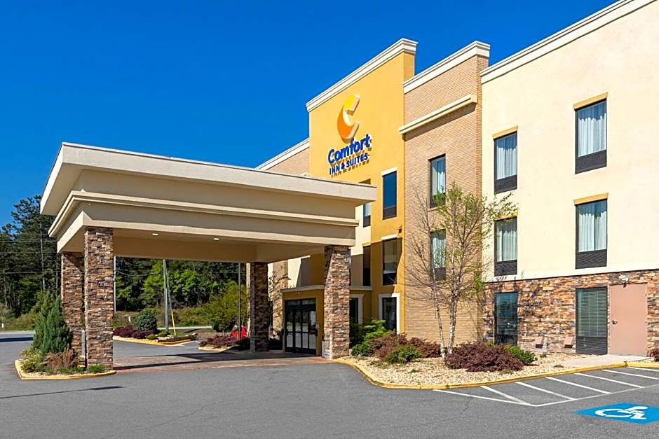 Comfort Inn & Suites Macon West