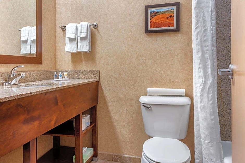 Comfort Inn at Convention Center Saint George