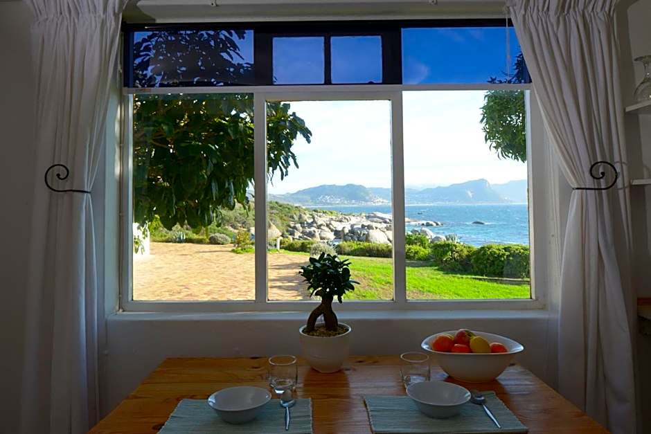 Bosky Dell on Boulders Beach