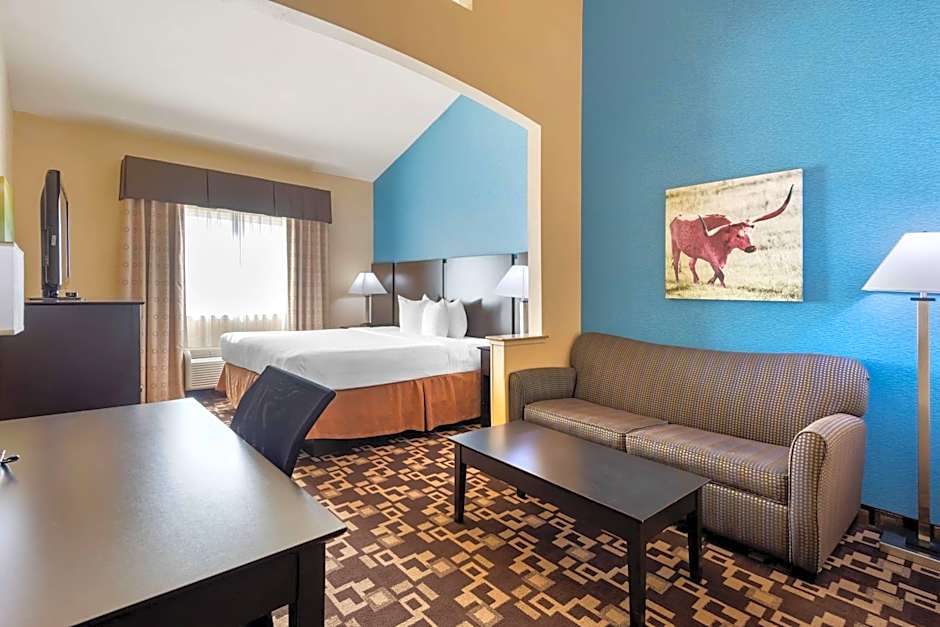 Best Western Plus Arlington North Hotel & Suites
