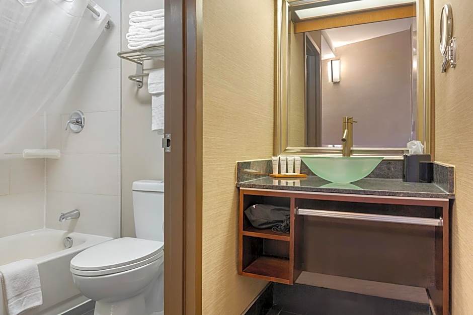 Radisson Hotel Southfield-Detroit