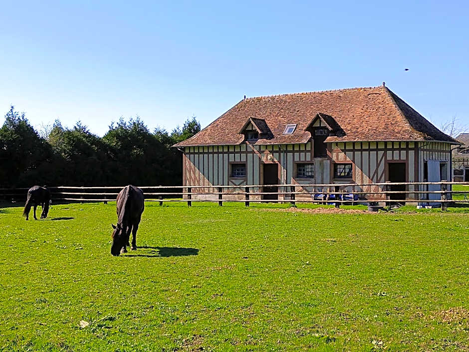 Domaine des Ifs
