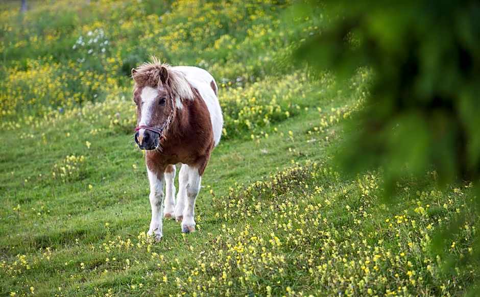 Sattleggers Alpenhof & Feriensternwarte