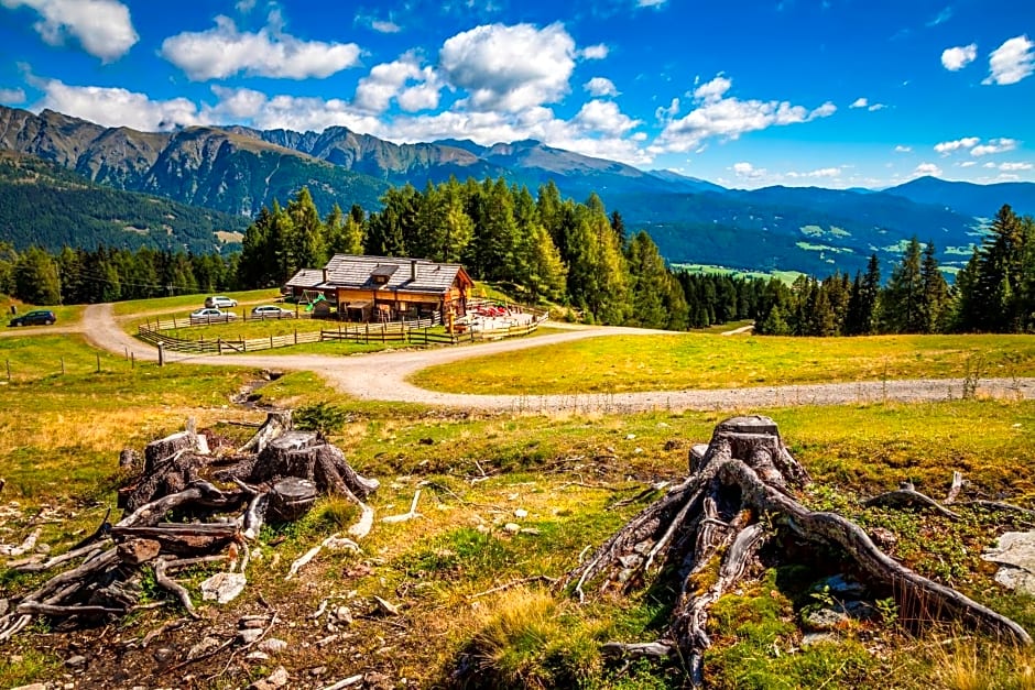 Ferienhütte Hoitahüttl