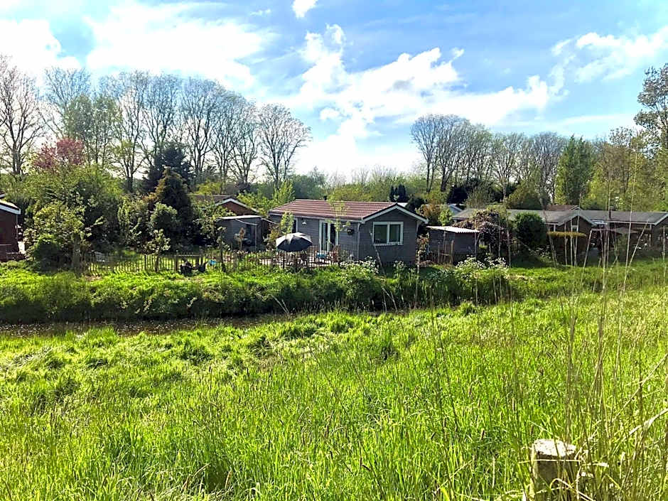 Rosa's zonnige huisje bij duinen bos en strand