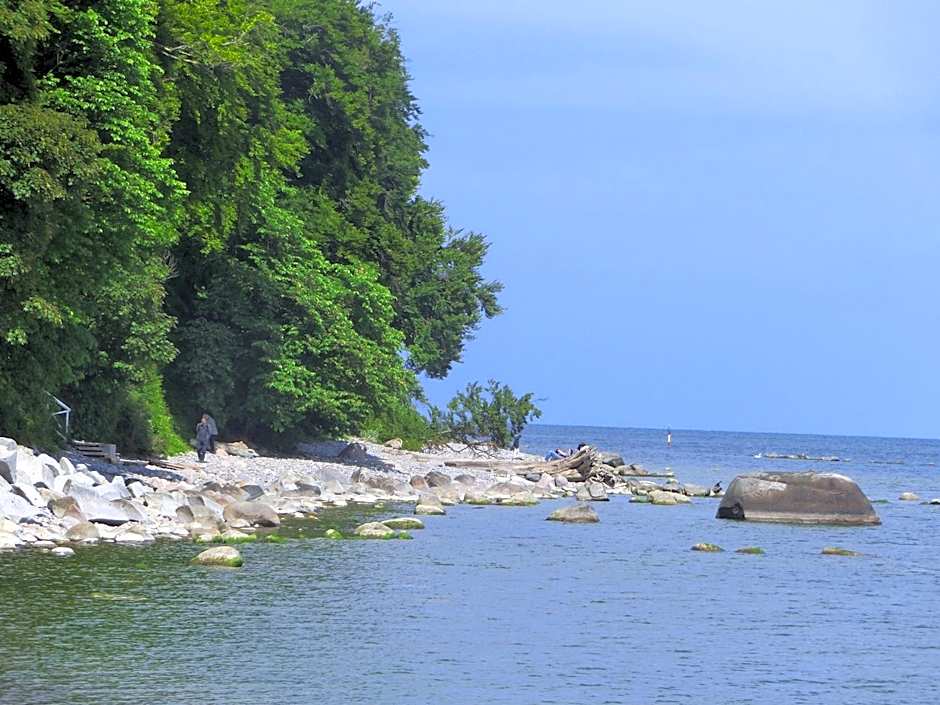 Restaurant & Hotel Baumhaus Hagen