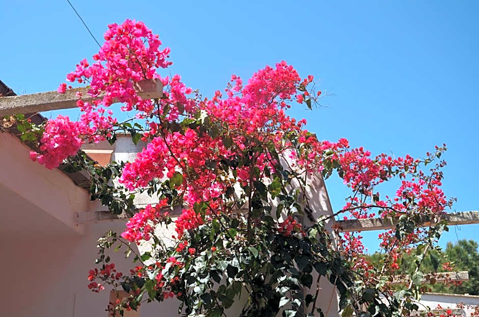 Villa Teti - Sicilia