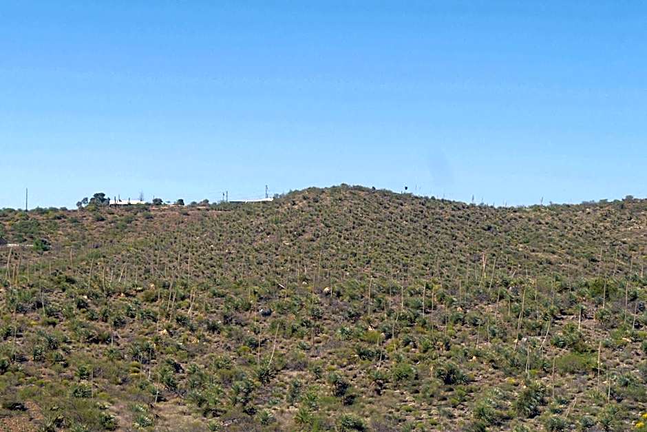 Travelodge by Wyndham Globe AZ