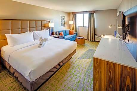 King Room with Sofa and River View