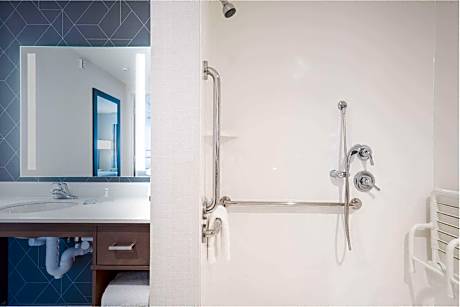 1King Accessible Roll In Shower Suite Nonsmok