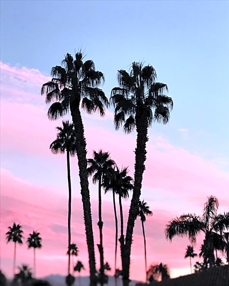 Delos Reyes Palm Springs