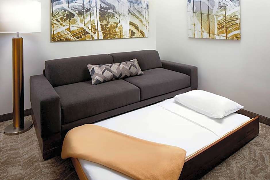 SpringHill Suites by Marriott Houston NASA/Webster