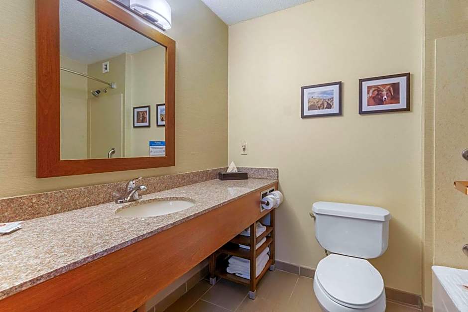 Comfort Inn & Suites Rapid City
