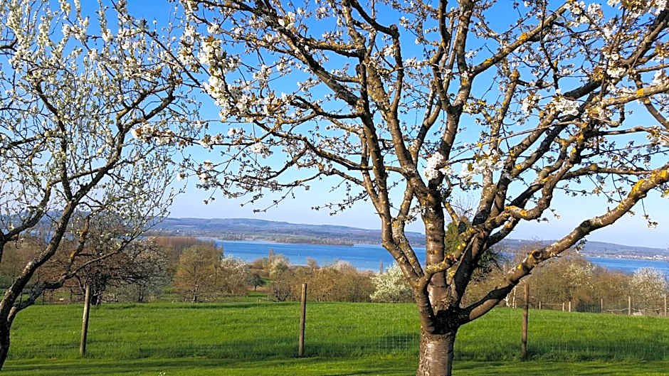 Historisches Gasthaus Hotel Hirschen Horn