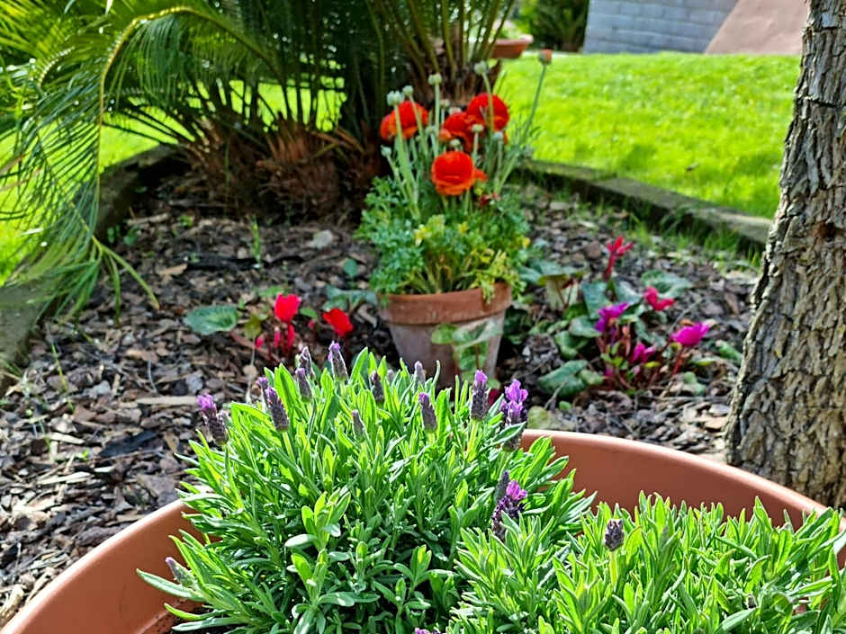 Il Casale nel Parco Guesthouse