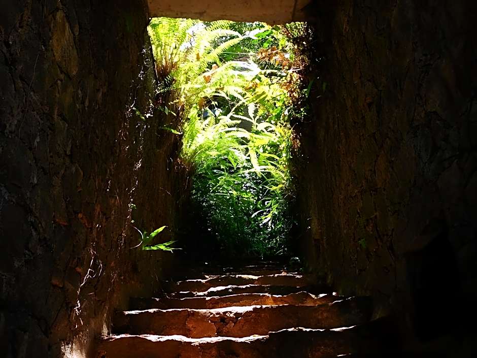 Boulder Garden Hotel