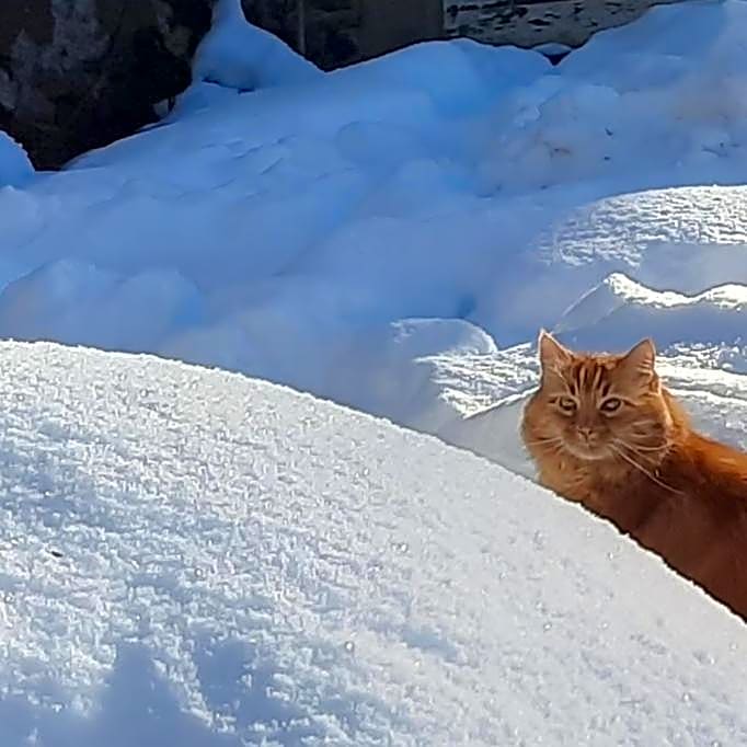 Esprit Nature Rêve d'étoiles