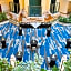Embassy Suites By Hilton Hotel Tampa-USF/Near Busch Gardens