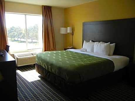 King Room - Non-Smoking