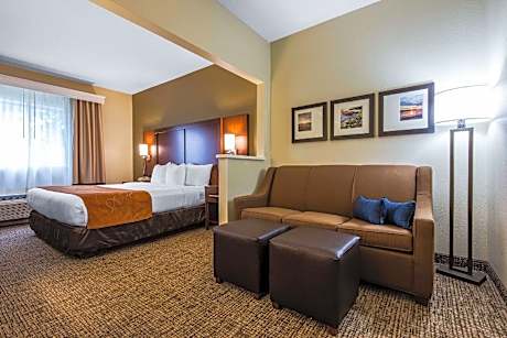1 King Bed, Suite, Nonsmoking, Accessible