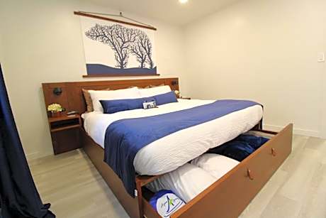 Studio - Disability Access