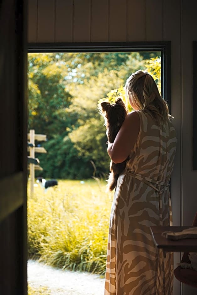 Tiny Houses Bij De Compagnons