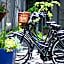 Antique Apartments Plac Szczepanski