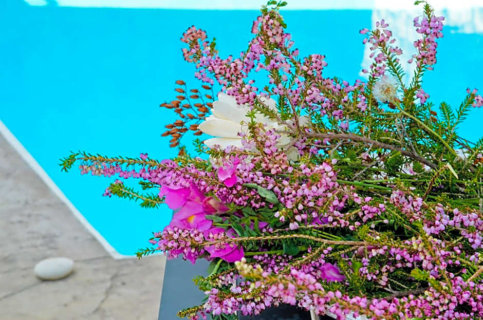 Katerina's Village Agios Nikitas