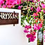Mrs Chryssana Beach Hotel