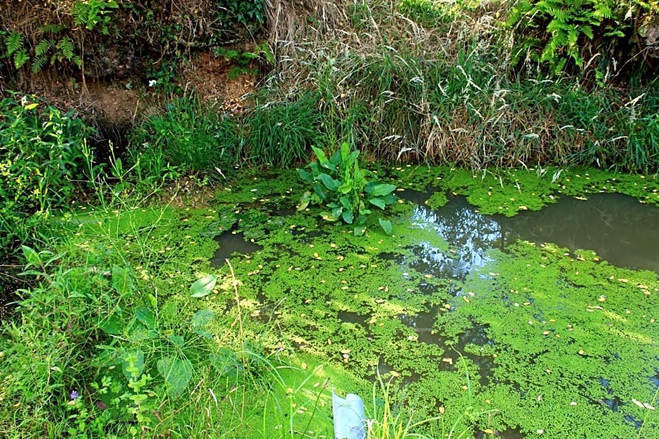 souslens, Castaignos-Souslens 40