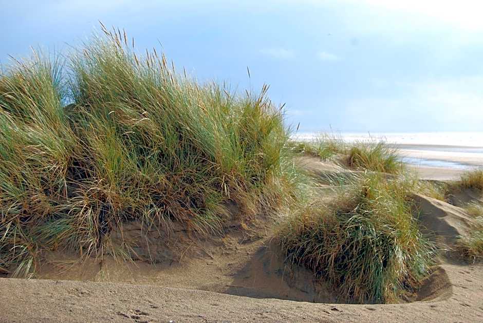 Hare & Hounds Bed & Breakfast