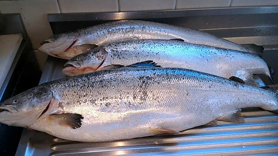 Hotel San Francisco Spiaggia