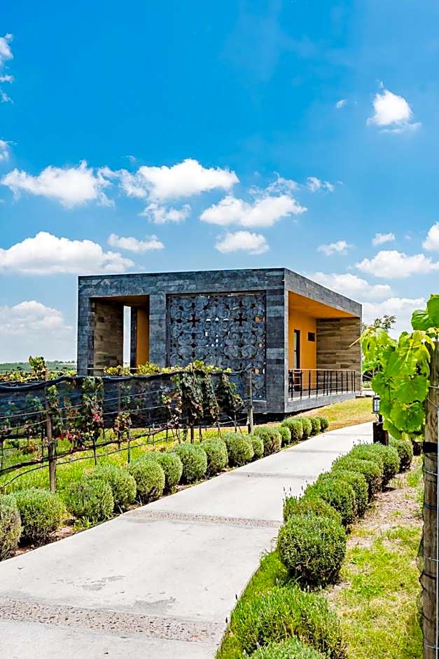 Casa Raíces Hotel Luxury & Viñedo