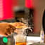 Scala Boutique Hotel & Suites - Adults Only