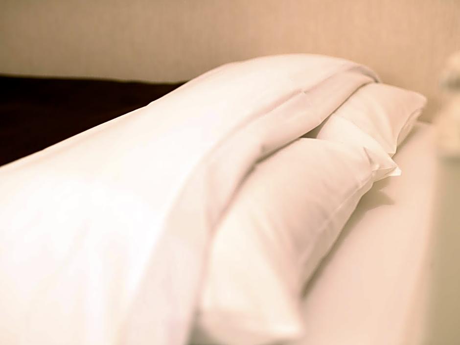 Sabae City Hotel