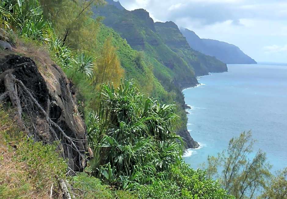 Kiahuna Plantation 96, Poipu Beach, Club Membership, Part Ocean View, Kids Toys