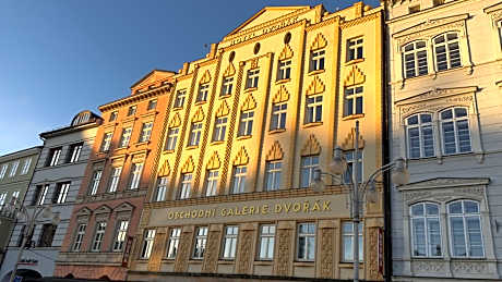 Hotel Dvorak