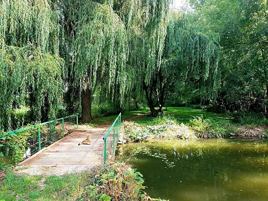 Propriété Les Ruisseaux