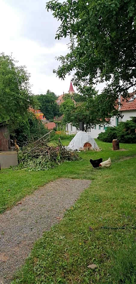 Keramický a výtvarný ateliér Konešín